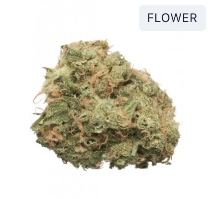 Weed shop near me in Kanata