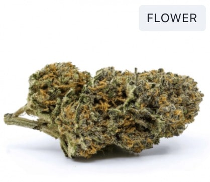 Dispensary near you in Kanata, Ottawa, Canada