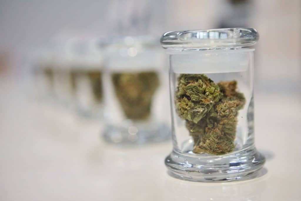 top cannabis strains
