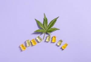 cannabis edibles